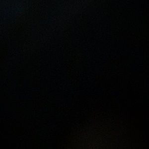 Meet your Posher, Kaylen